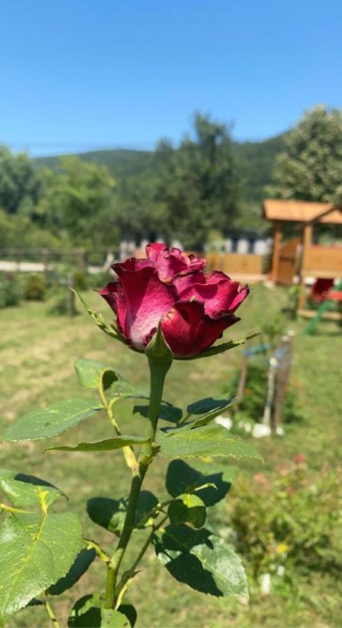 הוילה Bihać Wooden House Ripac מראה חיצוני תמונה